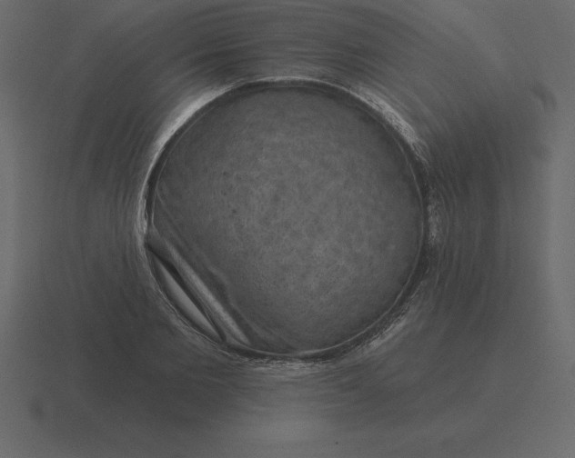 X0000116630885200912241810