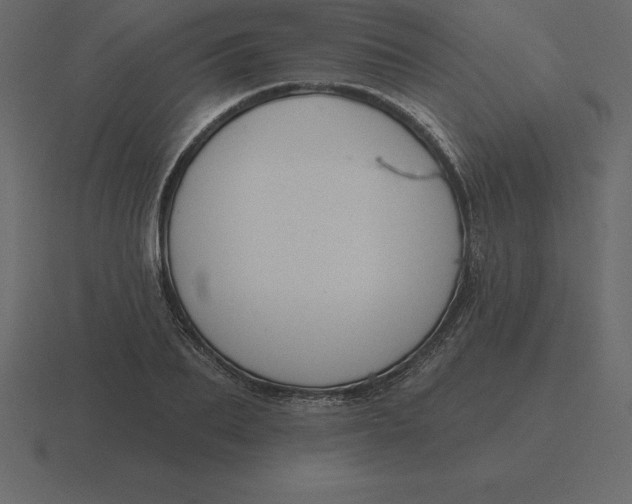 X0000116630887200912241810