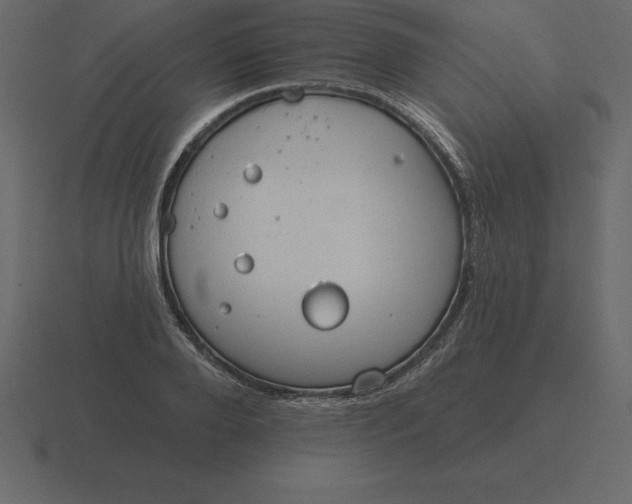 X0000116630888200912241810