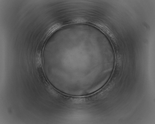 X0000116630889200912241810