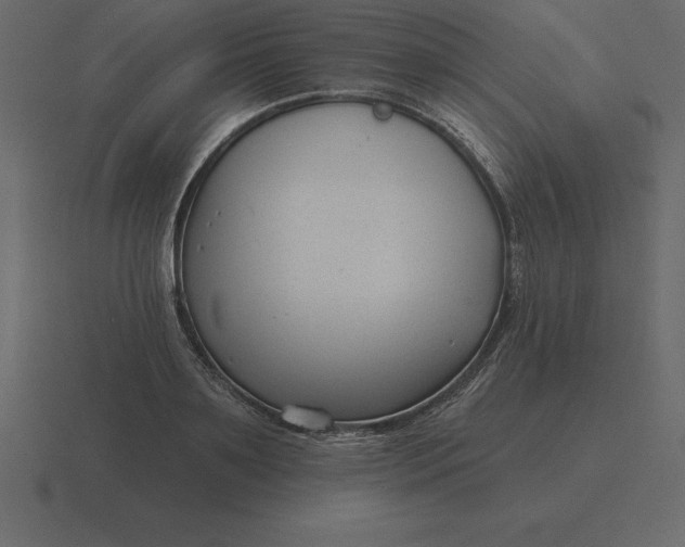 X0000116630891200912241810