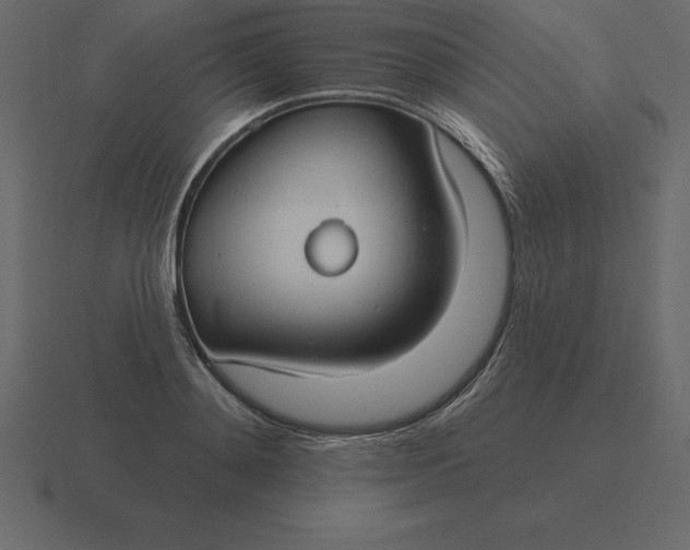 X0000116630892200912241810