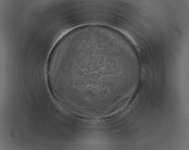 X0000116630895200912241810