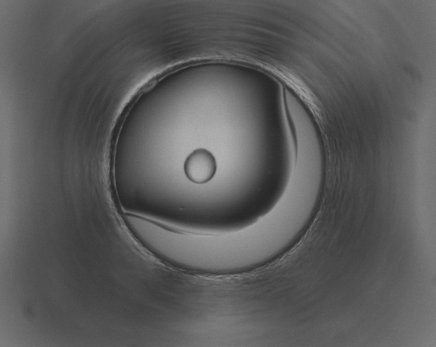 X0000116630896200912241810