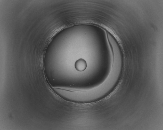 X0000116630897200912241810