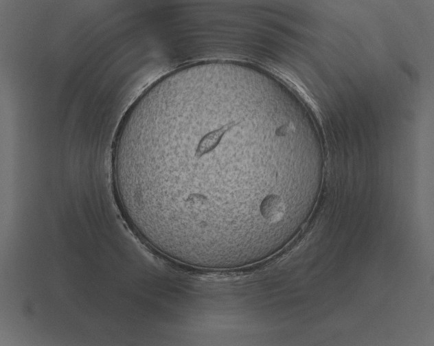 X0000116630898200912241810