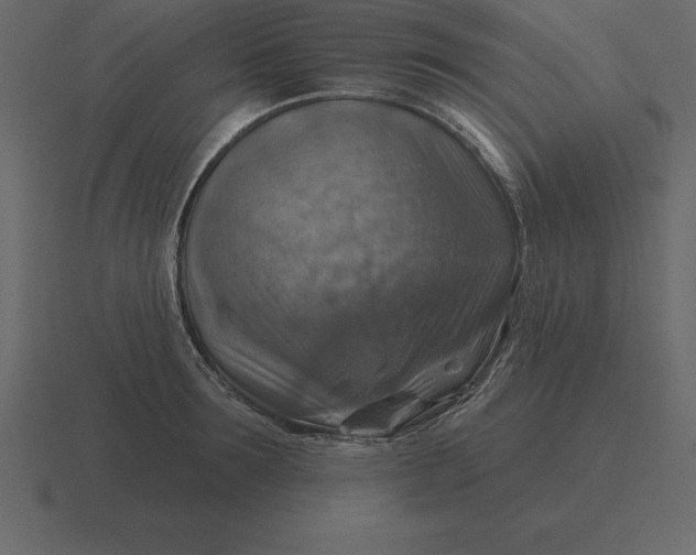 X0000116630899200912241810