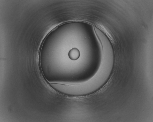 X0000116630900200912241810