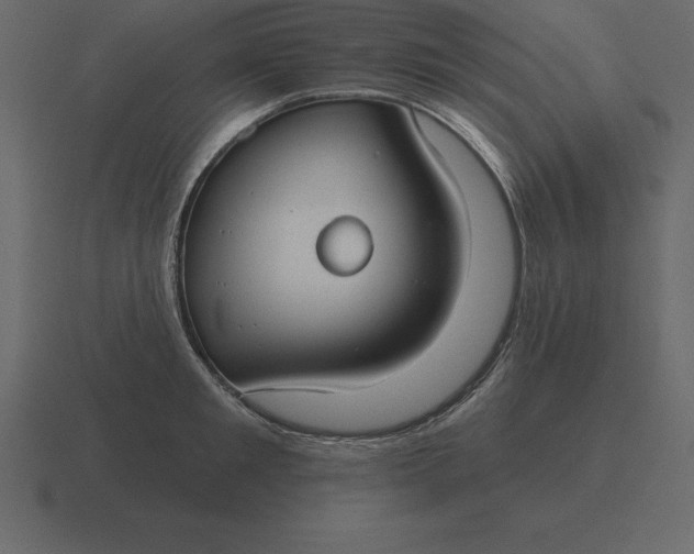 X0000116630901200912241810