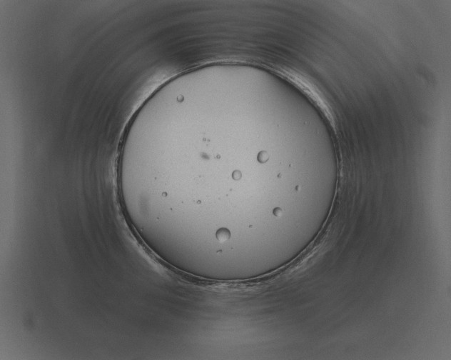 X0000116630906200912241810