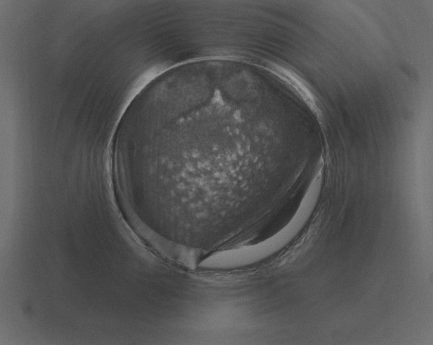 X0000116630907200912241810