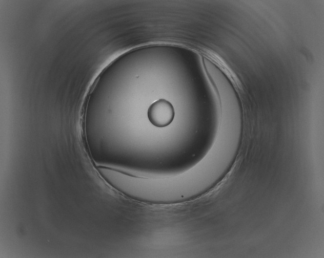 X0000116630908200912241810