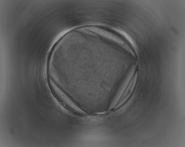 X0000116630910200912241810