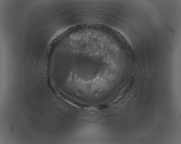 X0000116630919200912241809