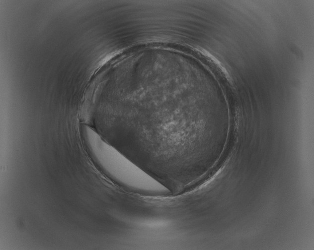 X0000116630921200912241809