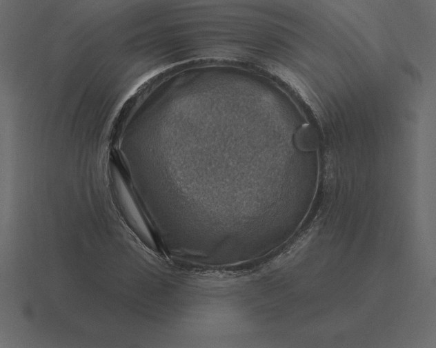 X0000116630923200912241809