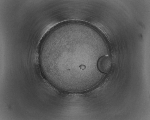 X0000116630926200912241809