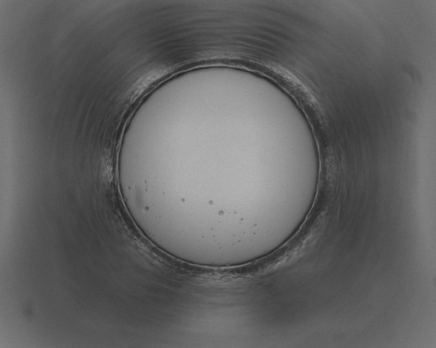 X0000116630929200912241809