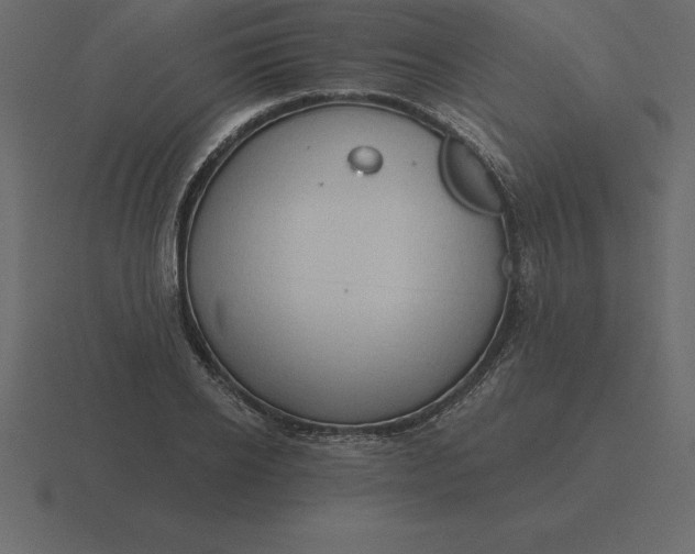 X0000116630934200912241809