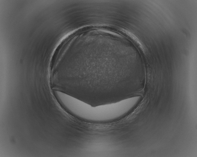 X0000116630935200912241809