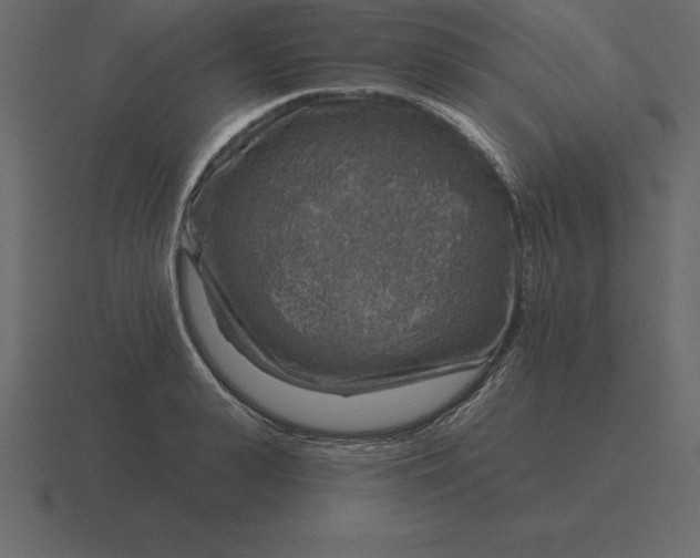 X0000116630943200912241810