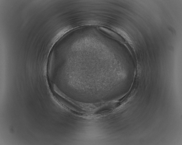 X0000116630946200912241810