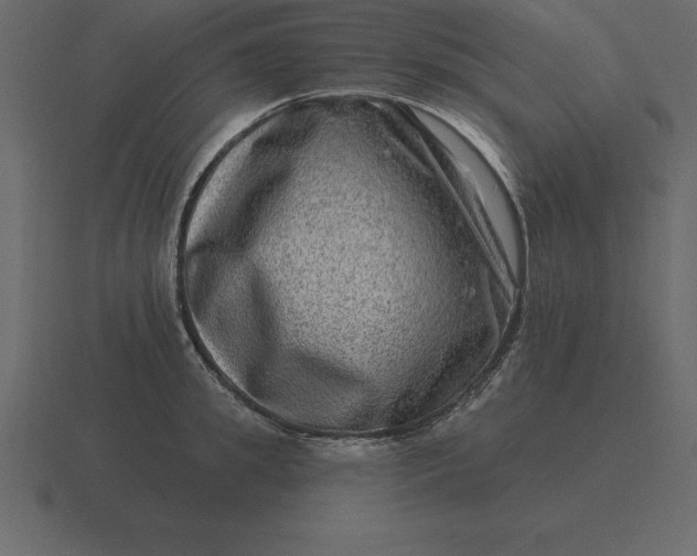 X0000116630949200912241810