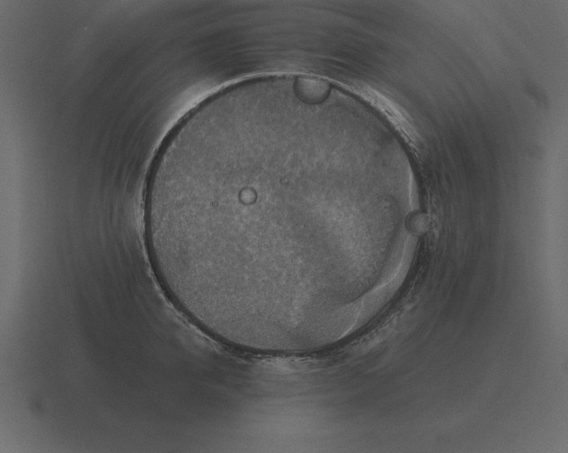 X0000116630950200912241810