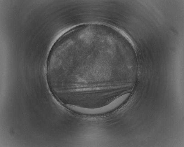 X0000116630951200912241810