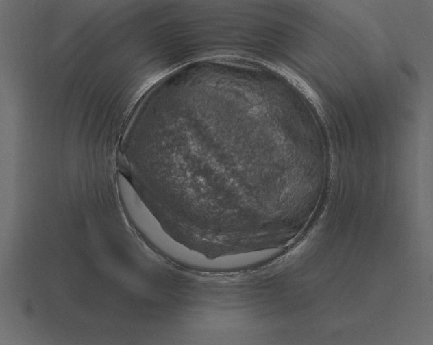 X0000116630953200912241810