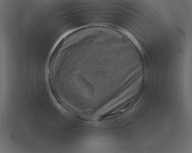 X0000116630955200912241810