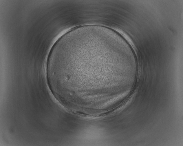 X0000116630957200912241810