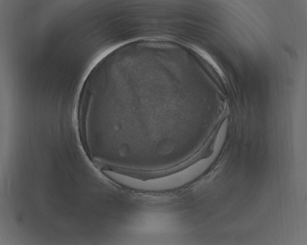 X0000116630959200912241810