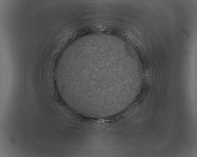 X0000116630961200912241809