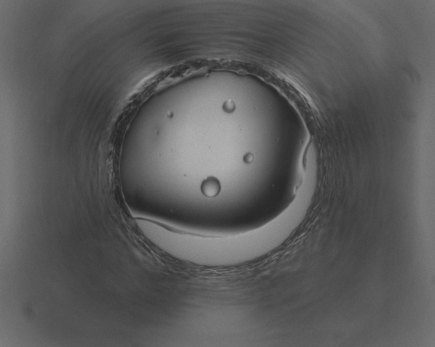 X0000116630968200912241809