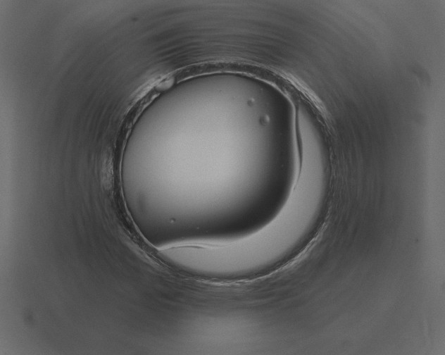 X0000116630969200912241809