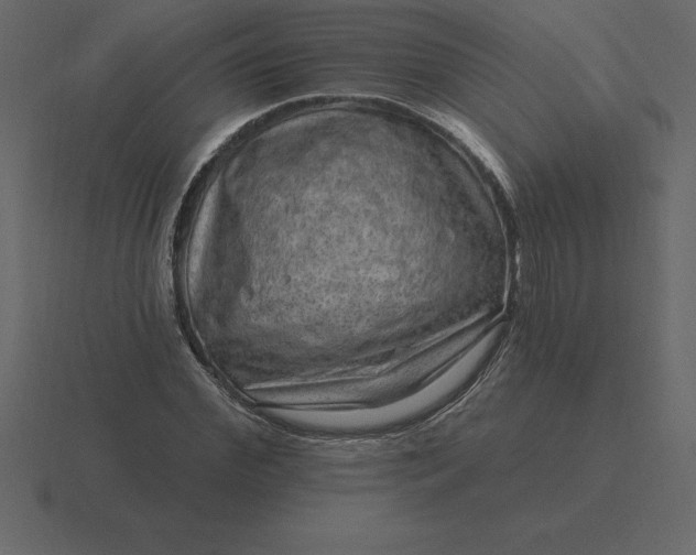 X0000116630972200912241809