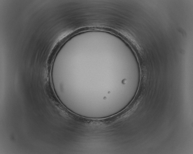 X0000116630974200912241809