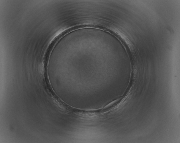 X0000116630975200912241809