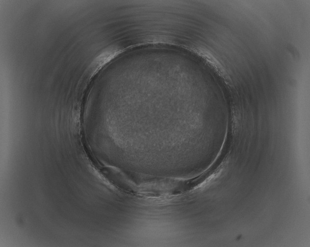 X0000116630977200912241809