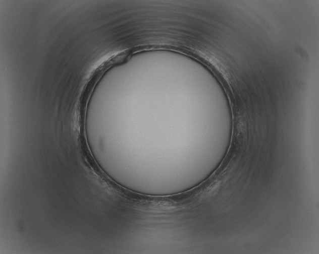 X0000116630979200912241809