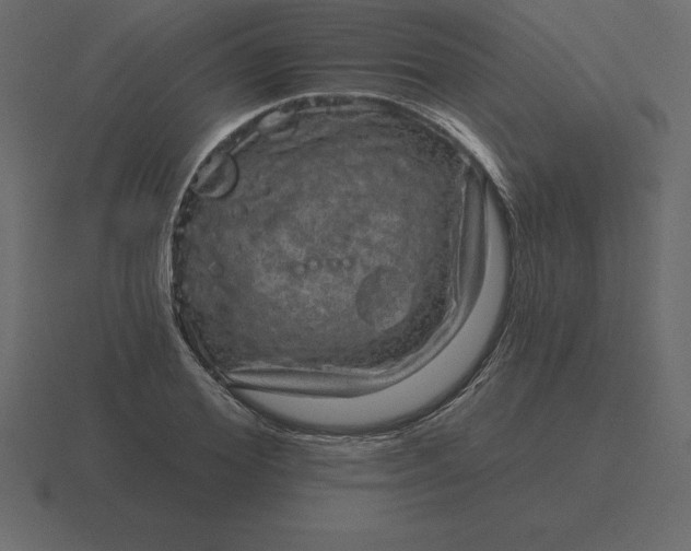 X0000116630980200912241809