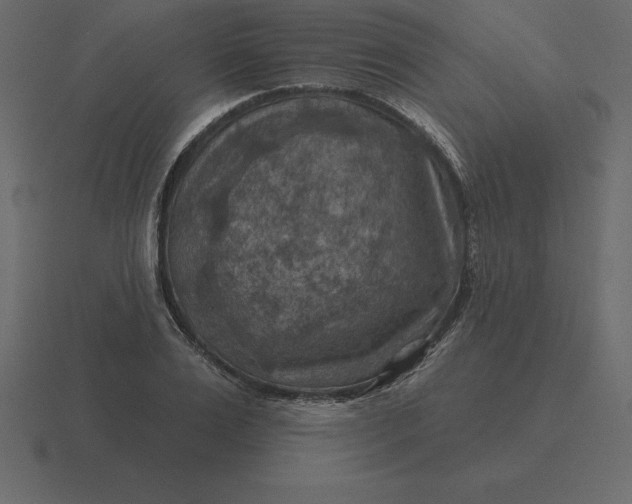 X0000116630983200912241809