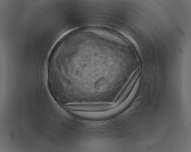 X0000116630984200912241809