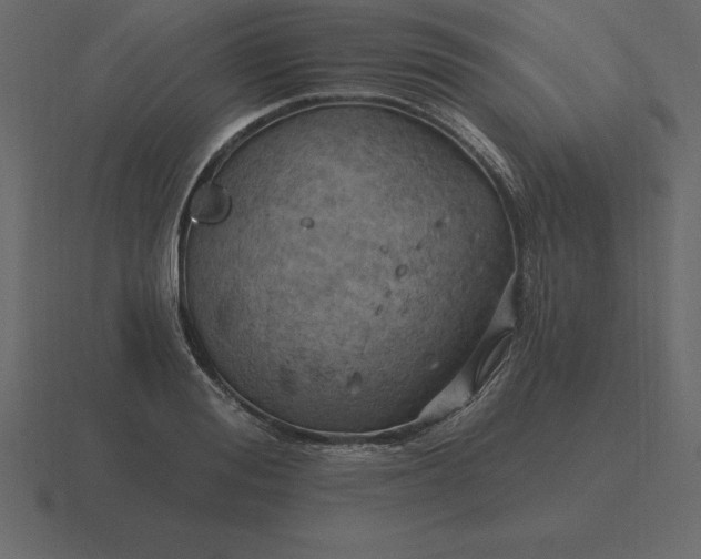 X0000116630988200912241809