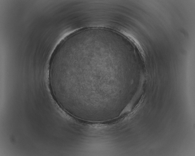 X0000116630992200912241809