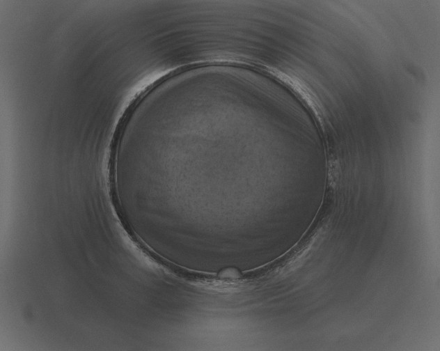 X0000116630995200912241809