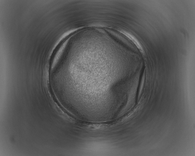 X0000116631000200912241809