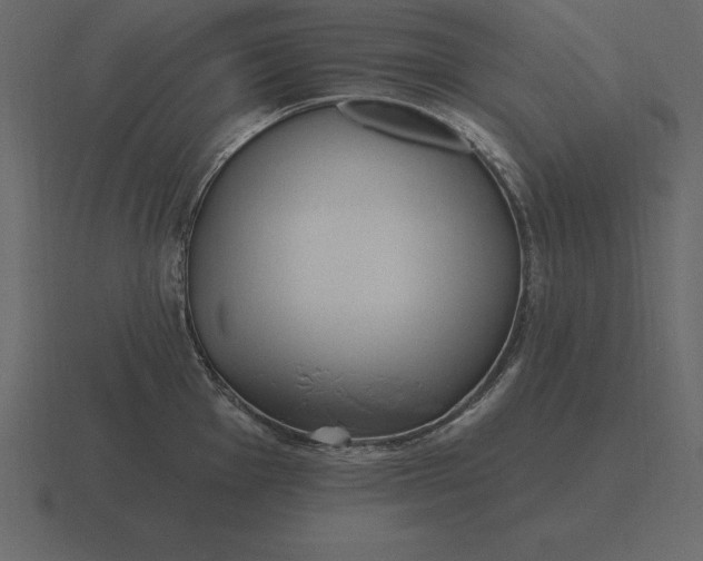 X0000116631001200912241809