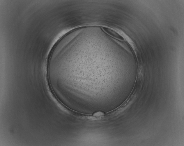 X0000116631005200912241809